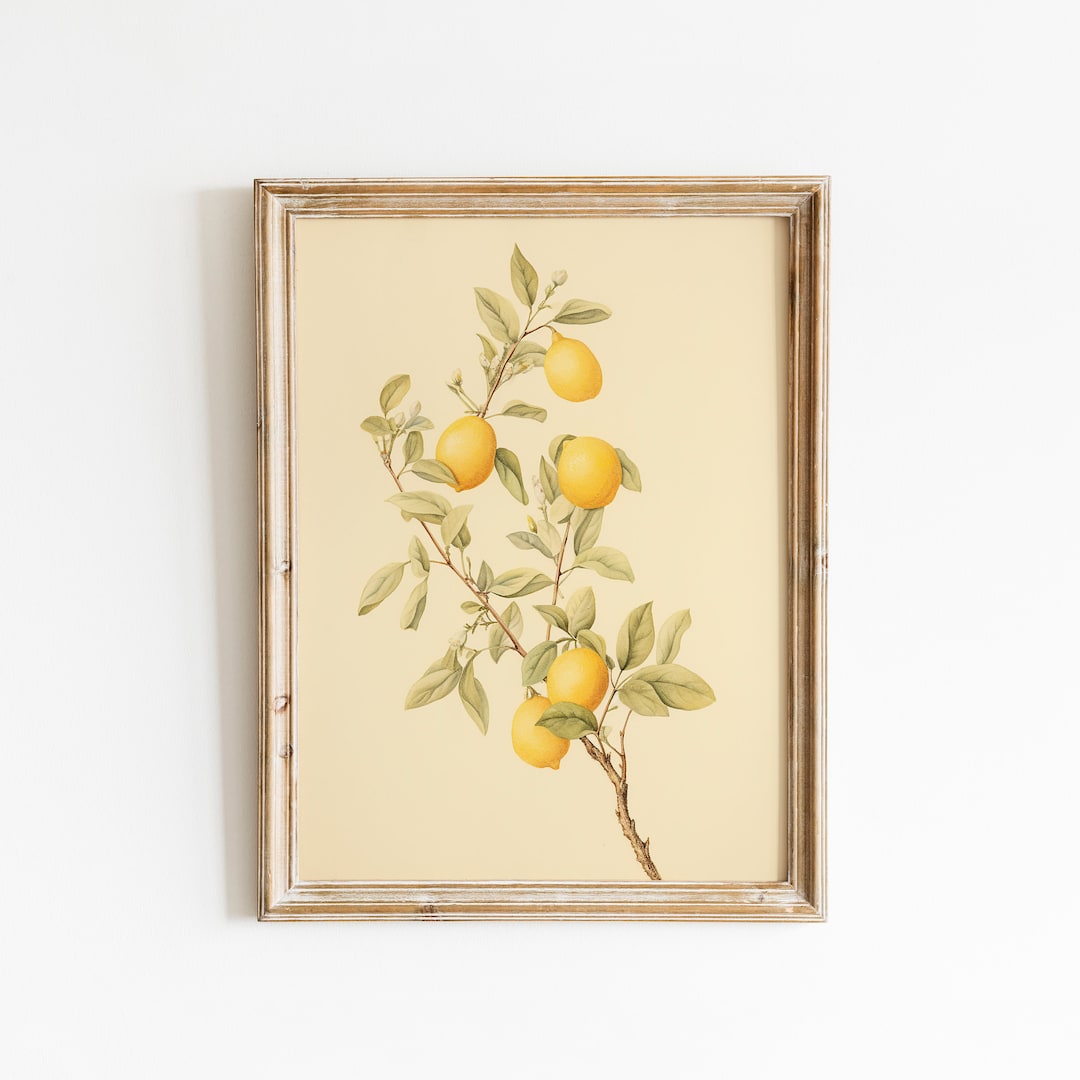 Lemon Botanical Drawing, Vintage Fruit Illustration, Wall Art Decor ...