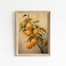 see more listings in the STILL LIFE / FRUITS section