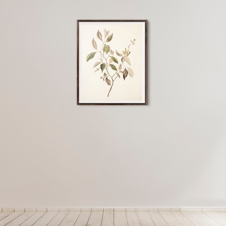 Vintage Botanical Tree Branch Drawing, French Country Decor Art Country Farmhouse Decor Wall Art, Printable Art DIGITAL DOWNLOAD 322 image 6
