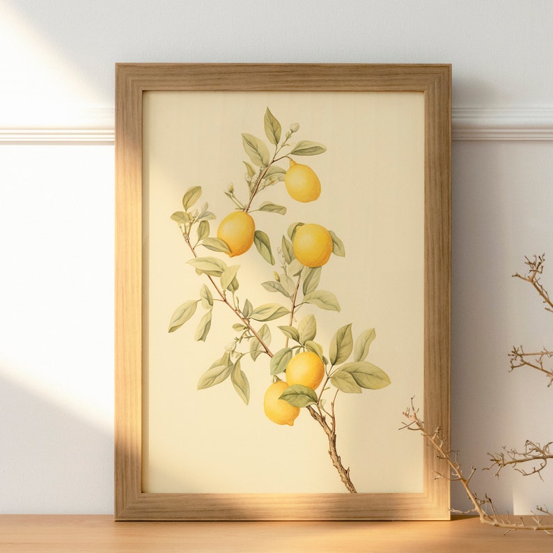 Lemon Botanical Drawing, Vintage Fruit Illustration, Wall Art Decor ...