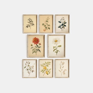 Vintage Botanical Gallery Wall Print Set Antique Botanical Prints Gallery Set Rustic Wall Decor Printable Art Digital DIGITAL DOWNLOAD #1034