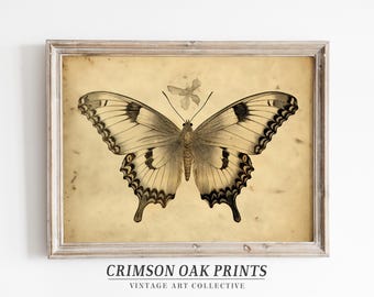 Vintage Butterfly Sketch | Butterfly Print | Cottagecore Wall Art Print | Vintage Wall Decor | Downloadable Print DIGITAL DOWNLOAD #559