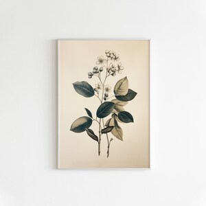 Farmhouse Botanical Wall Art | Vintage Botanical Art Print | Vintage Wall Decor | Printable Art | Downloadable Print DIGITAL DOWNLOAD #318