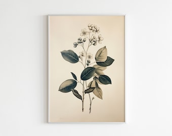 Farmhouse Botanical Wall Art | Vintage Botanical Art Print | Vintage Wall Decor | Printable Art | Downloadable Print DIGITAL DOWNLOAD #318