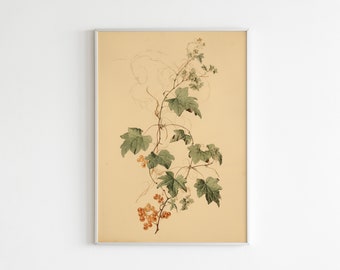 Farmhouse Botanical Wall Art | Vintage Botanical Art Print | Vintage Wall Decor | Printable Art | Downloadable Print DIGITAL DOWNLOAD #315