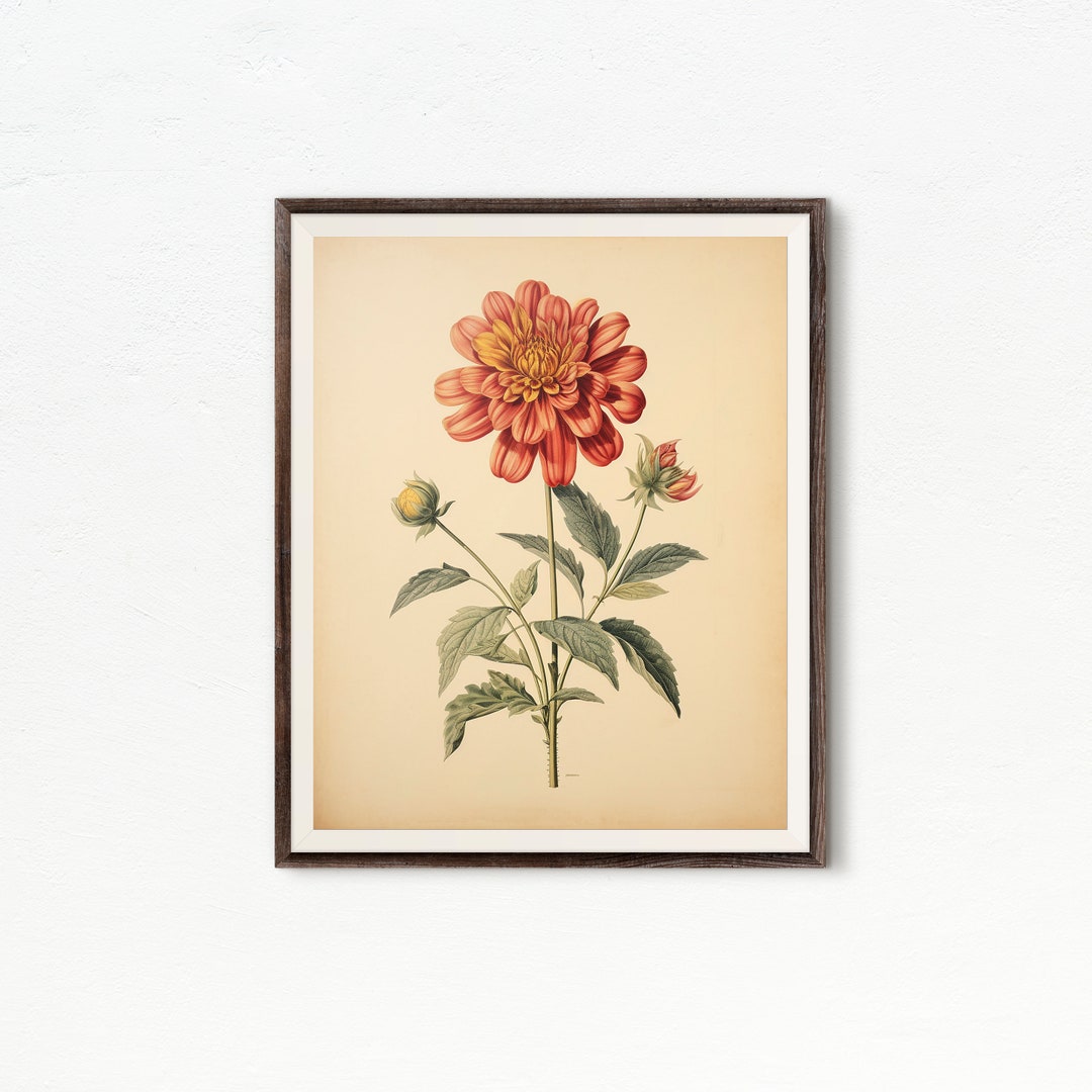 Floral Botanical Wall Art | Vintage Botanical Art Print | Vintage Wall ...