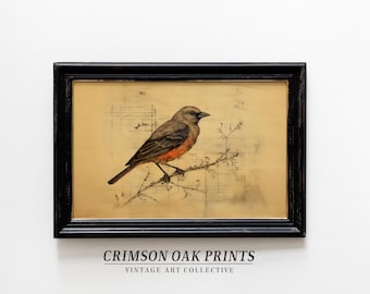 Vogelschilderij | Muurkunstprint vogel | Cottagecore-muurdecoratie | Vogelkunstafdrukken | Afdrukbare kunst | Downloadbare afdruk DIGITALE DOWNLOAD #558