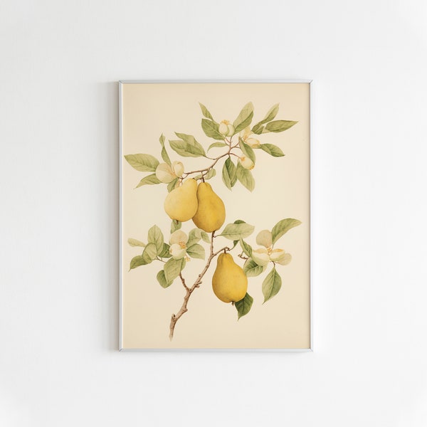 Pear Wall Art - Etsy