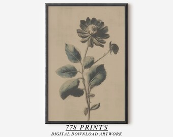 Vintage Black Flower Sketch Art | Antique Botanical Wall Decor | Floral Drawing | 171