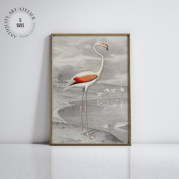 The White Flamingo Art | Minimal Japanese Vintage Print | Asian Antique Art | Neutral Wall Decor | Digital DOWNLOAD | PRINTABLE Painting