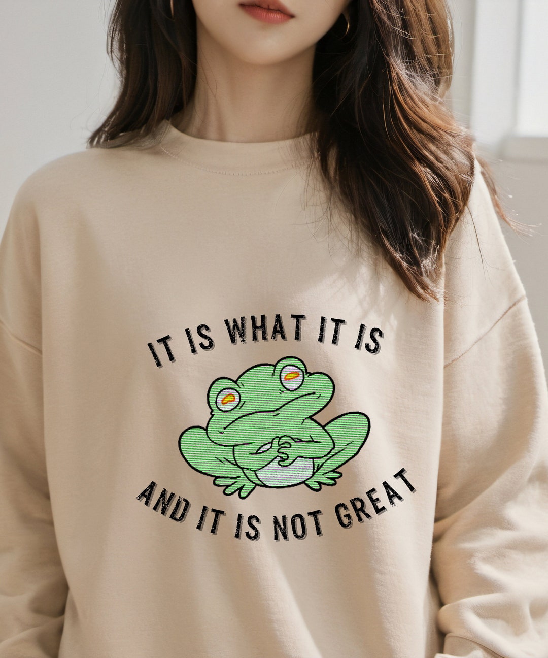 It is What It is and It is Not Great Sweatshirt, Frog Sweatshirt, Meme