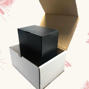Temporary Urn, Travel Cremation Urn for Human Ashes – TSA Airline Safe Plastic Urn, 220 Cubic In, Temporary Funeral Urn for housing ashes
