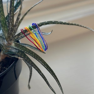 May include: A set of rainbow colored beaded bracelets, hanging from a green plant.
