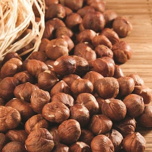 2.2 lbs Unshelled Hazelnut From Our Garden Premium Quality Organic Vegan Turkish Hazelnut, Big Hazelnut, Not Roasted, Best Quality Hazelnut