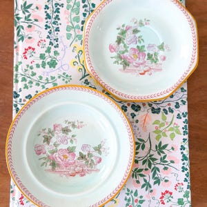 May include: Two white ceramic plates with a floral design featuring pink roses and green leaves. The plates have a yellow and pink border and are set on a floral patterned book cover. The plates are a light blue color.