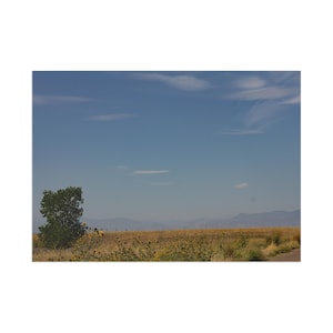 Fine Art Postcards of Serene Colorado Landscape, Note Cards, Scenic Stationery, Nature Prints, Gift Cards, Vintage Art Decor