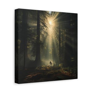 Canvas Print, Sunlight Through The Trees Photography, Nature Wall Art, Home Decor, Forest Scene Print, Gift for Nature Lover