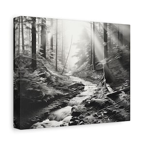 Black and White Forest Stream Canvas Wall Art: Nature Home Decor