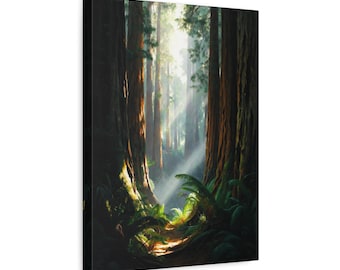 Sunlit Redwoods Forest Canvas | Matte Stretched Wall Art