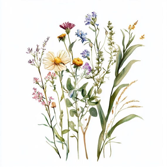 Watercolor Wildflowers Digital Print | Botanical Wall Art | Floral
