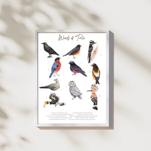 May include: A white poster with the title "Winds of Fate" and illustrations of 10 different birds. The birds are numbered 1 through 10 and their names are listed below the illustrations.