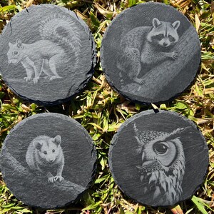 Puede incluir: Juego de cuatro posavasos redondos de pizarra. Cada posavasos presenta una imagen grabada de una ardilla, un mapache, una zarigüeya y un búho. Los posavasos son de color gris oscuro.