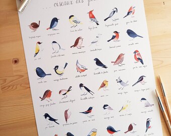 Uccelli da giardino L - poster con foto ad acquerello