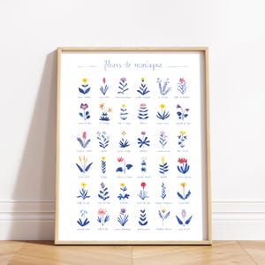 Può includere: Una stampa incorniciata con illustrazioni ad acquerello di vari fiori di montagna. L'opera d'arte presenta una collezione di disegni floreali colorati con sfumature blu, gialle, rosa e viola. Il titolo "fleurs de montagne" è scritto in alto in corsivo.