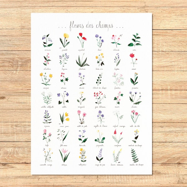 Fleurs des champs L - affiche imagier aquarelle