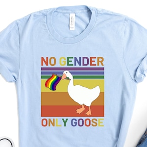 May include: Light blue t-shirt with a retro-style graphic of a white goose holding a rainbow pride flag. The text "NO GENDER ONLY GOOSE" is printed below the goose.