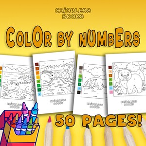 50 Cute Color by Number Pages for Kids, Activity Book for Boys, Girls, Preschool, Kindergarten, PDF Digital Download