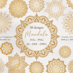 Indian Mandala SVG Bundle: 30 designs Indian Ornament. SVG vector, PNG transparent (Digital Download)