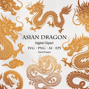 Puede incluir: Una colección de ilustraciones digitales en tonos naranja que presentan varias poses de dragones asiáticos, incluyendo diseños enroscados, voladores y solo de cabeza. El texto central dice ASIAN DRAGON Digital Clipart SVG - PNG - AI - EPS Hand Drawn.