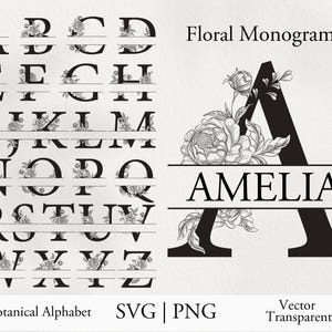 Alfabeto floral SVG, PNG. Letras de monograma vintage. ABC botánico. Archivos vectoriales de letras grabadas. Alfabeto floral dibujado a mano con espacio para nombres.