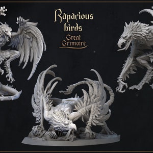 Rapacious Birds by Great Grimoire