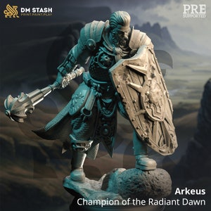 Male Champion Cleric / Paladin (Arkeus) by DM Stash