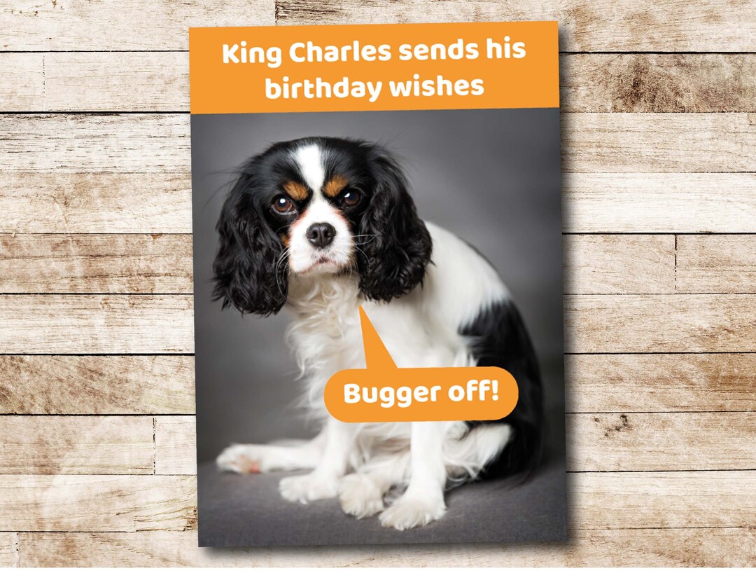 funny-birthday-card-king-charles-humorous-greeting-card-by-comedy