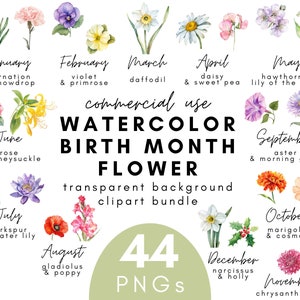 Aquarelle fleurs mois de naissance botanique Clipart-44 fond Transparent PNG à usage commercial téléchargement immédiat