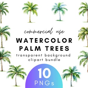 Watercolor Palm Tree Clipart- 10 Transparent Background PNG Commercial Use Instant Download