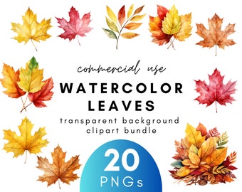 Autumn Watercolor Leaves Clipart- 20 Transparent Background PNG Commercial Use Instant Download