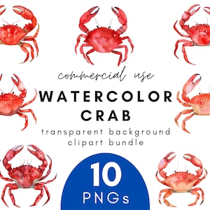 Clipart z krabem akwarelowym przybrzeżnym - 10 przezroczystych tła PNG do użytku komercyjnego Natychmiastowe pobieranie