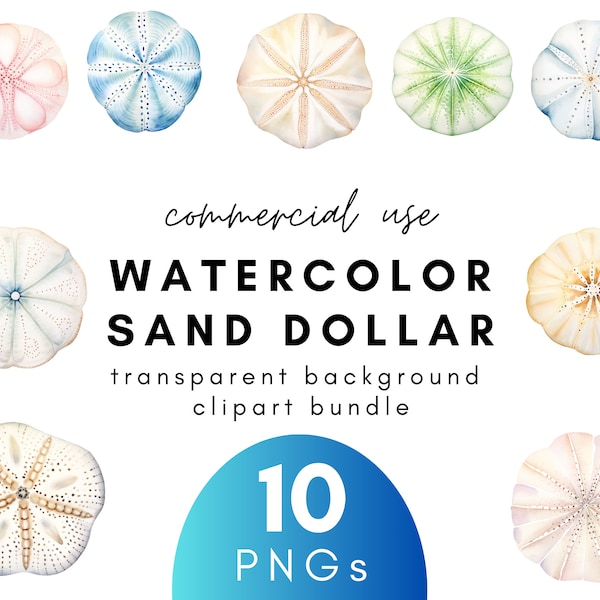 Coastal Watercolor Sand Dollar Clipart- 10 Transparent Background PNG Commercial Use Instant Download