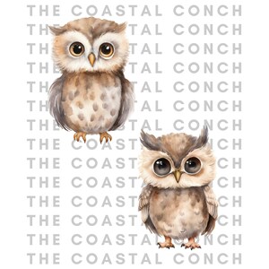 May include: Two watercolor illustrations of brown owls with large eyes. The owls are facing forward and have a light brown and dark brown speckled pattern.