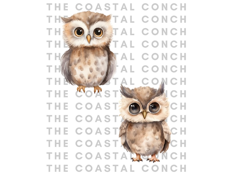 May include: Two watercolor illustrations of brown owls with large eyes. The owls are facing forward and have a light brown and dark brown speckled pattern.