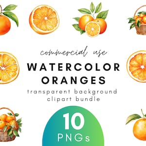 Citrus Aquarell Orange Clipart - 10 transparenten Hintergrund PNG kommerzielle Nutzung Instant Download