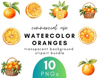 Citrus Watercolor Orange Clipart- 10 Transparent Background PNG Commercial Use Instant Download
