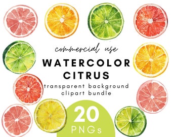 Colorful Watercolor Citrus Clipart- 20 Transparent Background PNG Commercial Use Instant Download