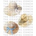 Watercolor Summer Hat Clipart- 20 Transparent Background PNG Commercial ...