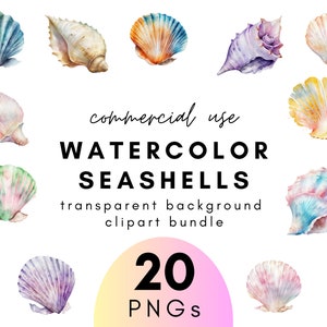 Clipart de concha de acuarela costera- 20 fondo transparente PNG uso comercial Descarga instantánea