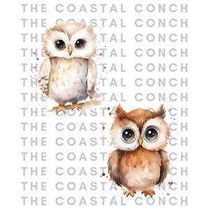 May include: Two watercolor illustrations of owls. The owl on the left is white with brown markings and the owl on the right is brown with white markings. Both owls have large, round eyes.